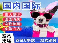 拉萨贡嘎机场快递国际宠物托运 【国